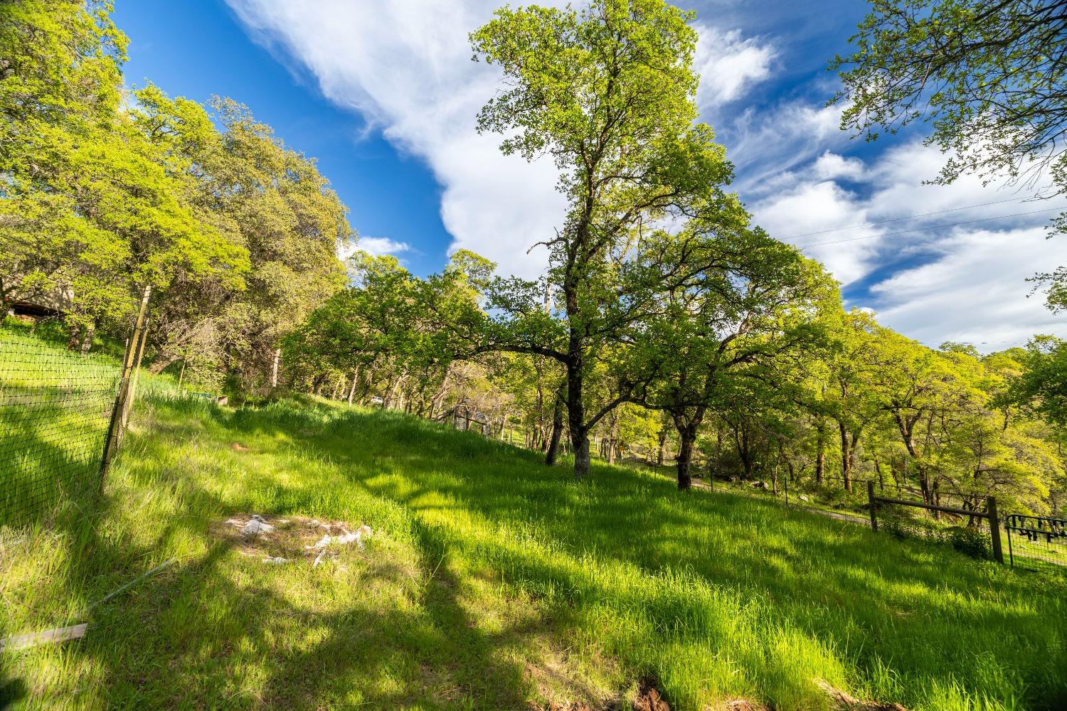 16100 Barbara Court Grass Valley, CA 95949 - Photo 62 of 86