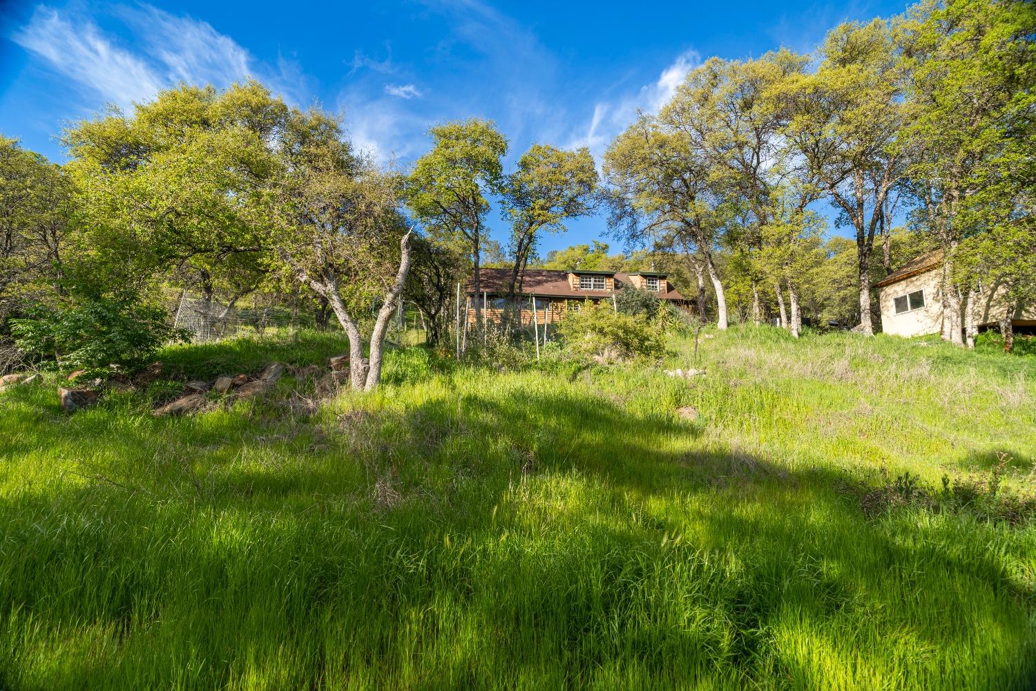 16100 Barbara Court Grass Valley, CA 95949 - Photo 63 of 86