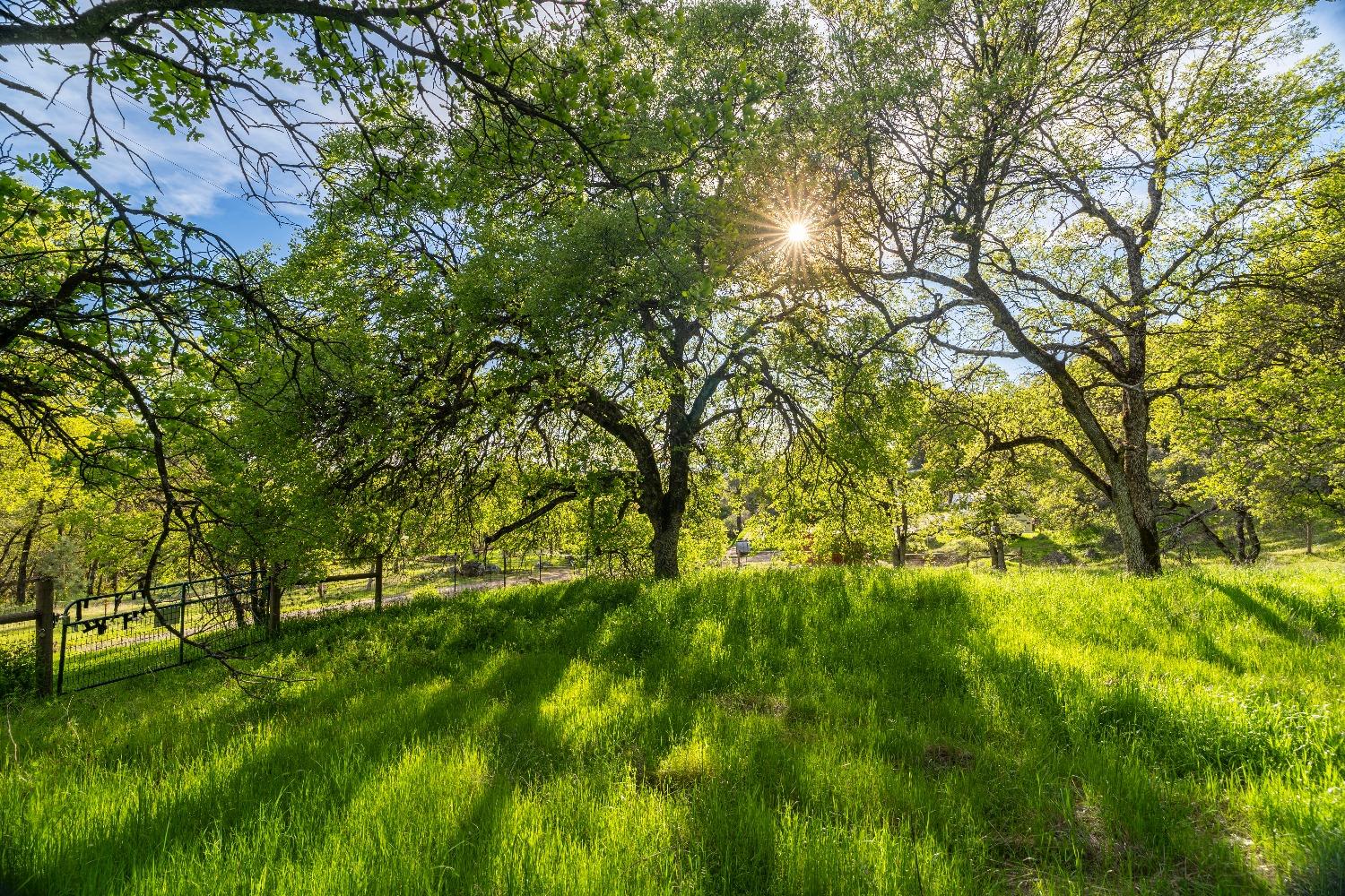 16100 Barbara Court Grass Valley, CA 95949 - Photo 64 of 86