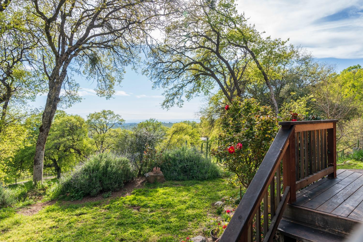 16100 Barbara Court Grass Valley, CA 95949 - Photo 66 of 86