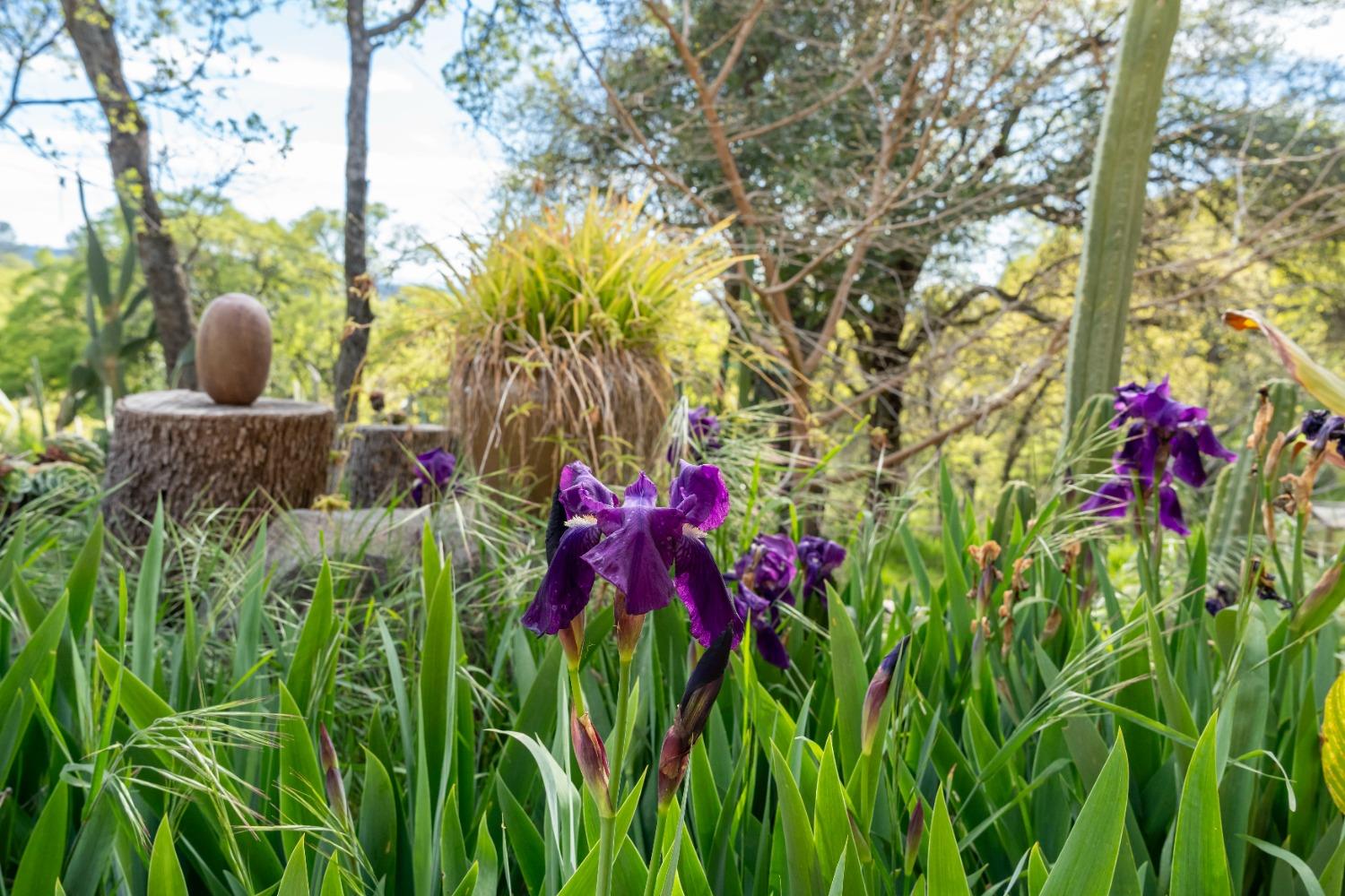 16100 Barbara Court Grass Valley, CA 95949 - Photo 70 of 86