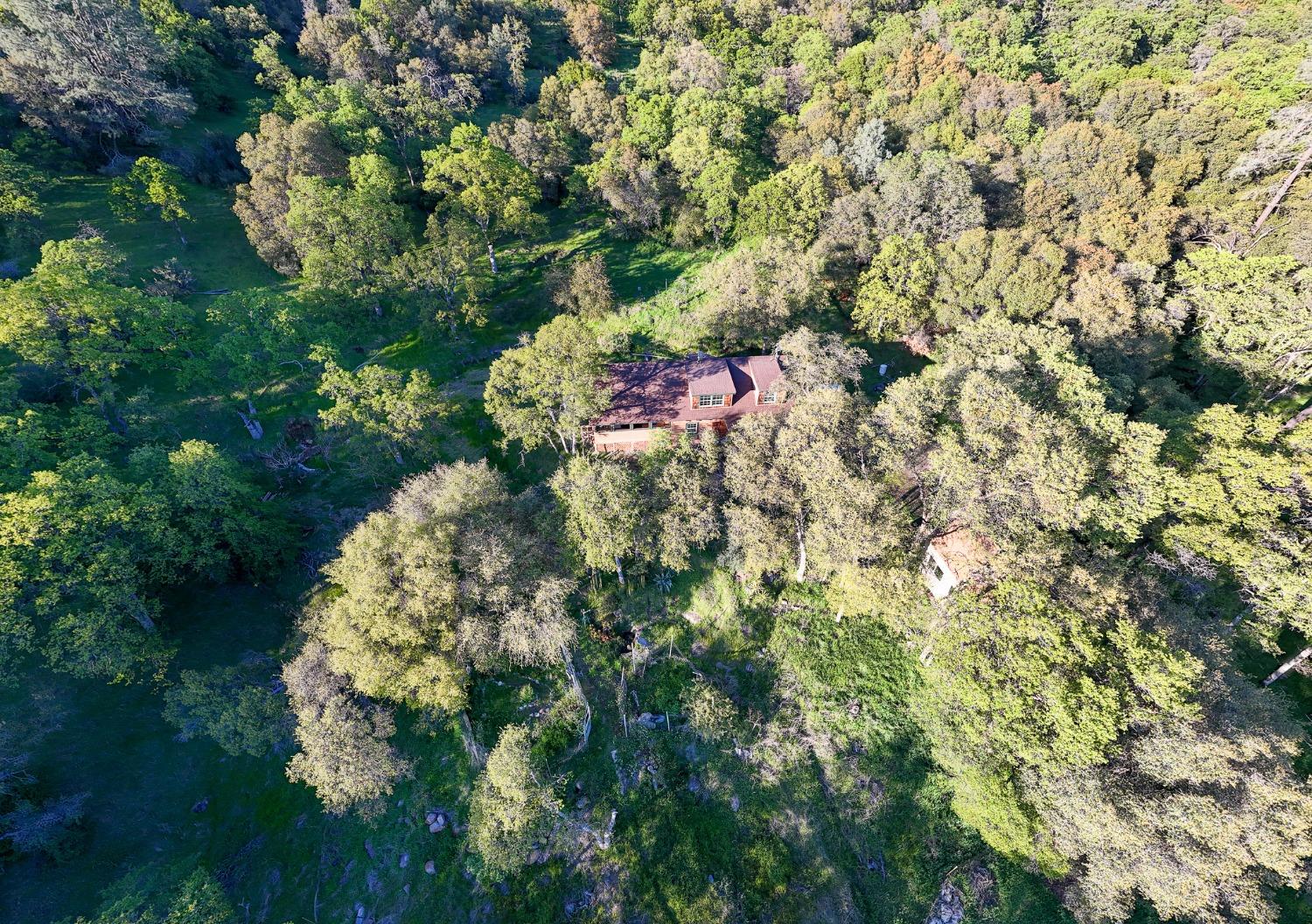 16100 Barbara Court Grass Valley, CA 95949 - Photo 76 of 86