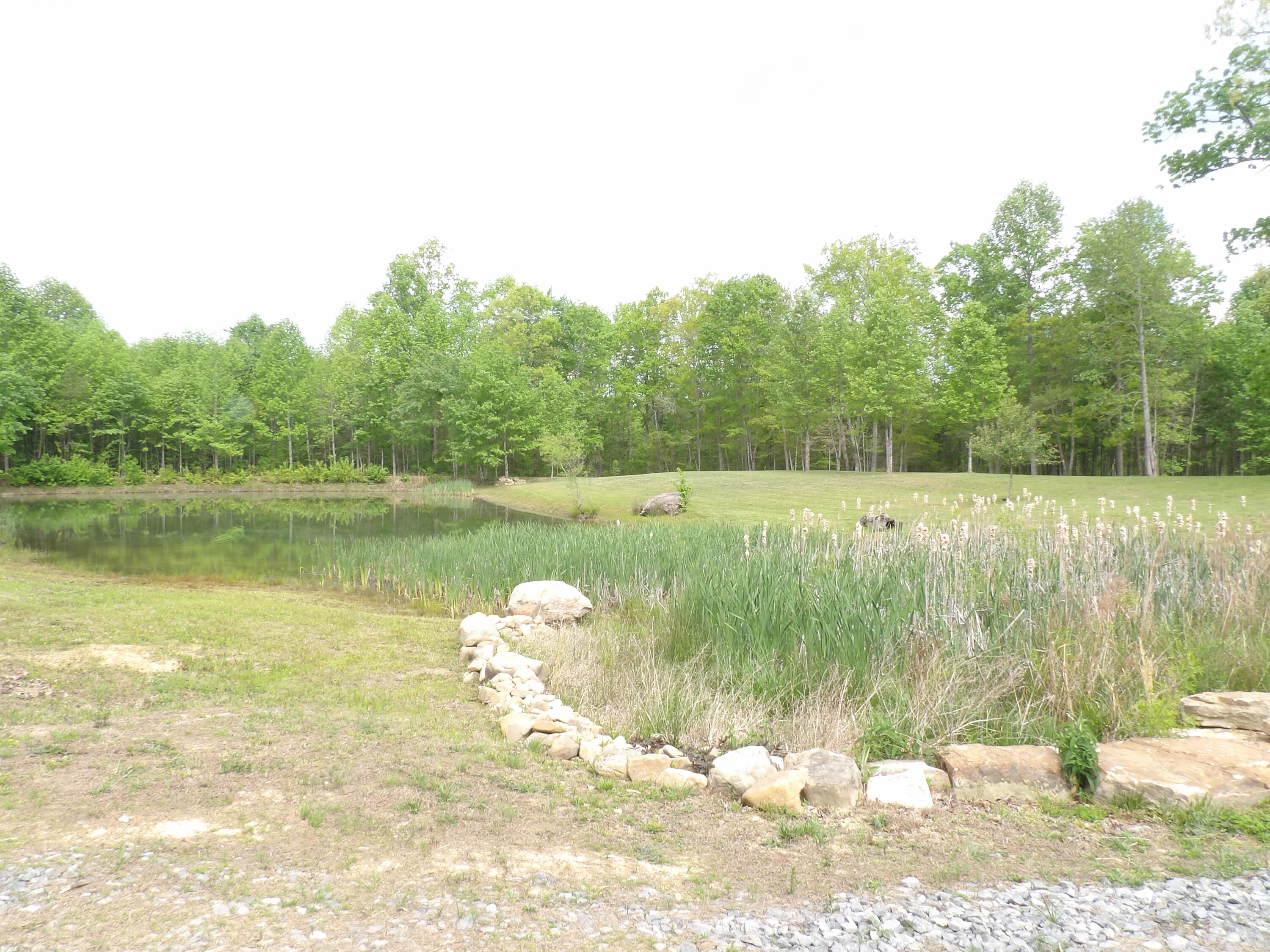 197 Echo Pt Road Dunlap, TN 37327 - Photo 38 of 67 100_2436