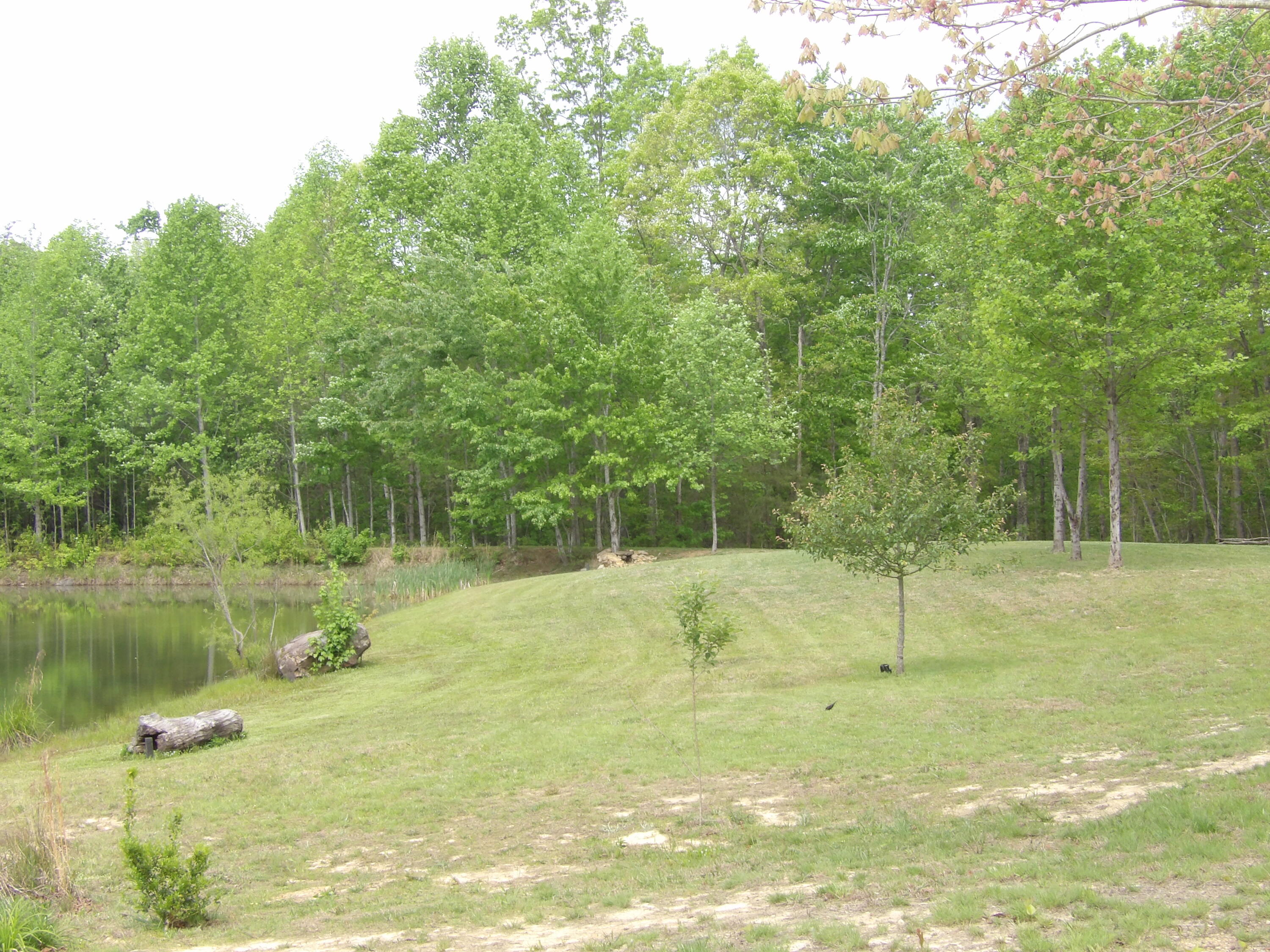 197 Echo Pt Road Dunlap, TN 37327 - Photo 42 of 67 100_2443