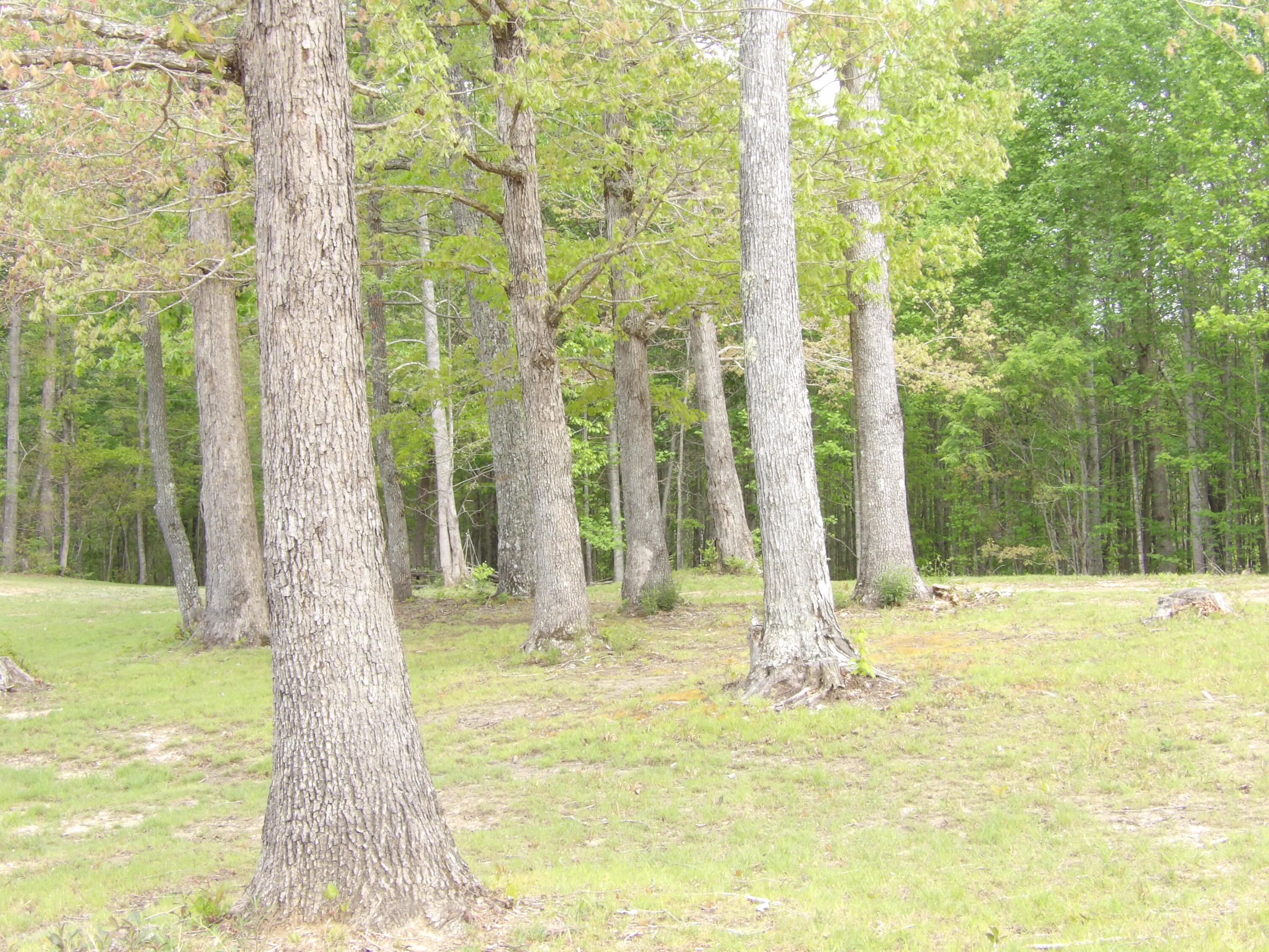 197 Echo Pt Road Dunlap, TN 37327 - Photo 43 of 67 100_2444