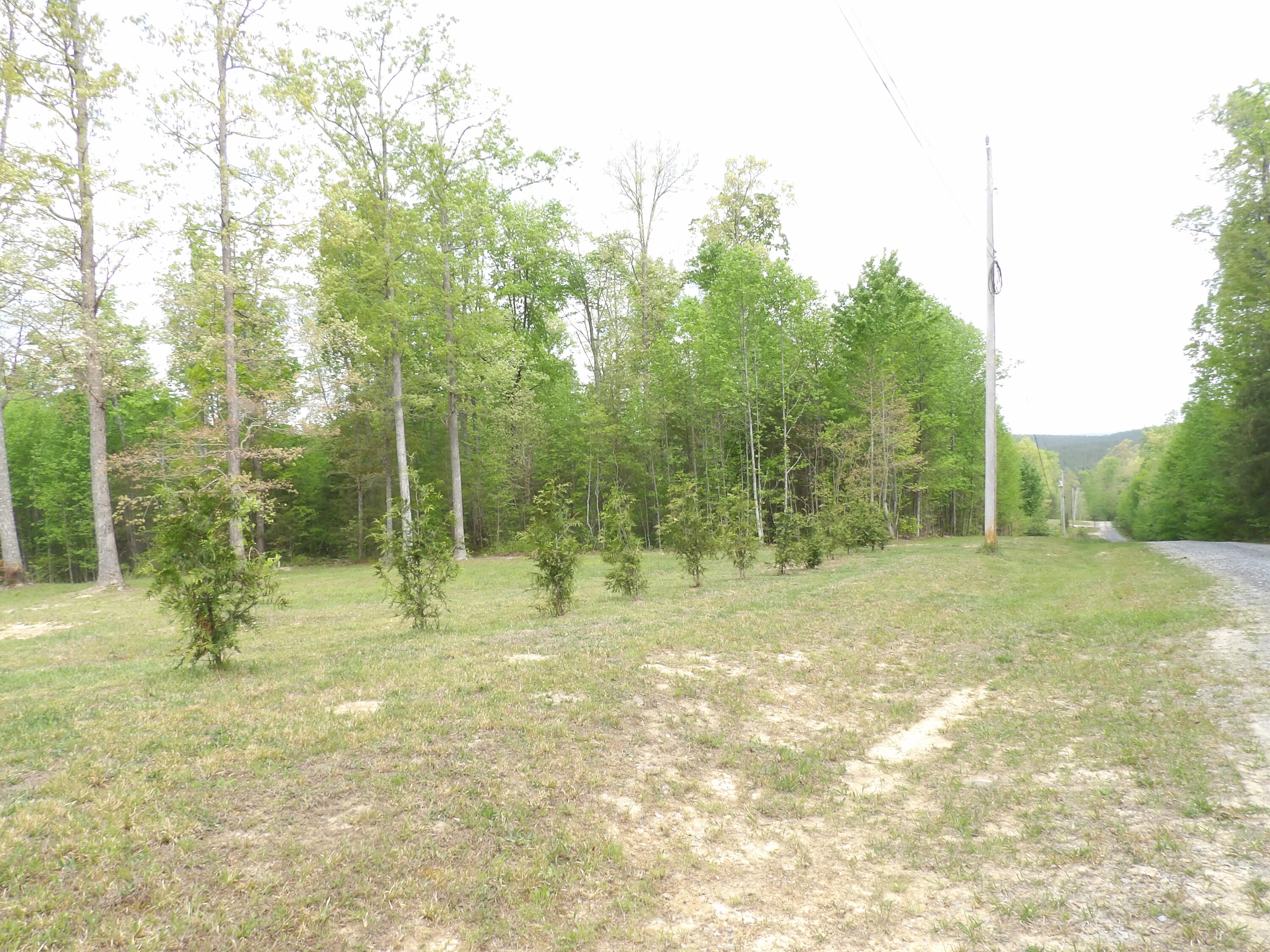197 Echo Pt Road Dunlap, TN 37327 - Photo 46 of 67 100_2450