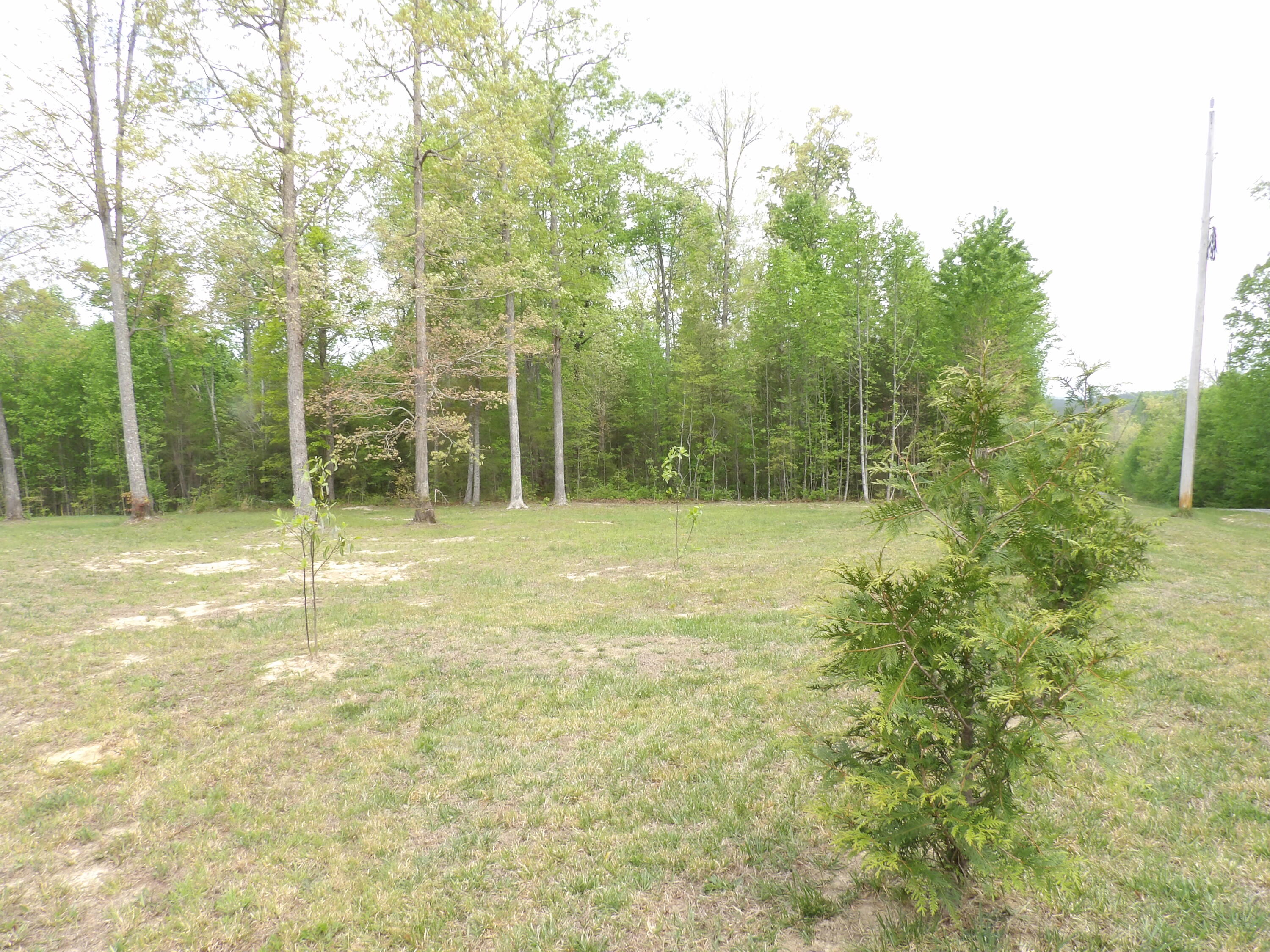 197 Echo Pt Road Dunlap, TN 37327 - Photo 47 of 67 100_2451