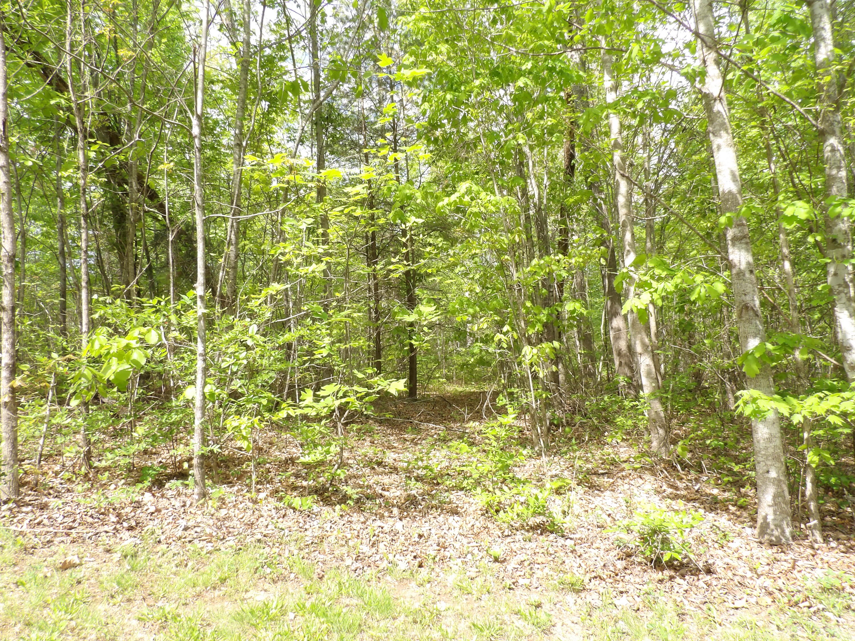 197 Echo Pt Road Dunlap, TN 37327 - Photo 49 of 67 100_2453