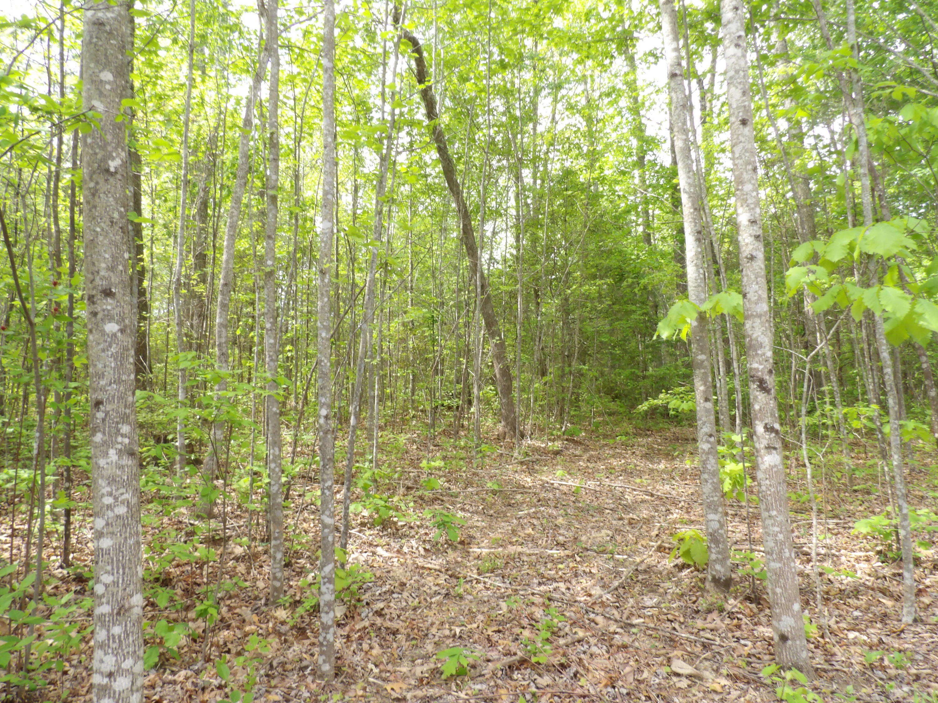 197 Echo Pt Road Dunlap, TN 37327 - Photo 50 of 67 100_2454