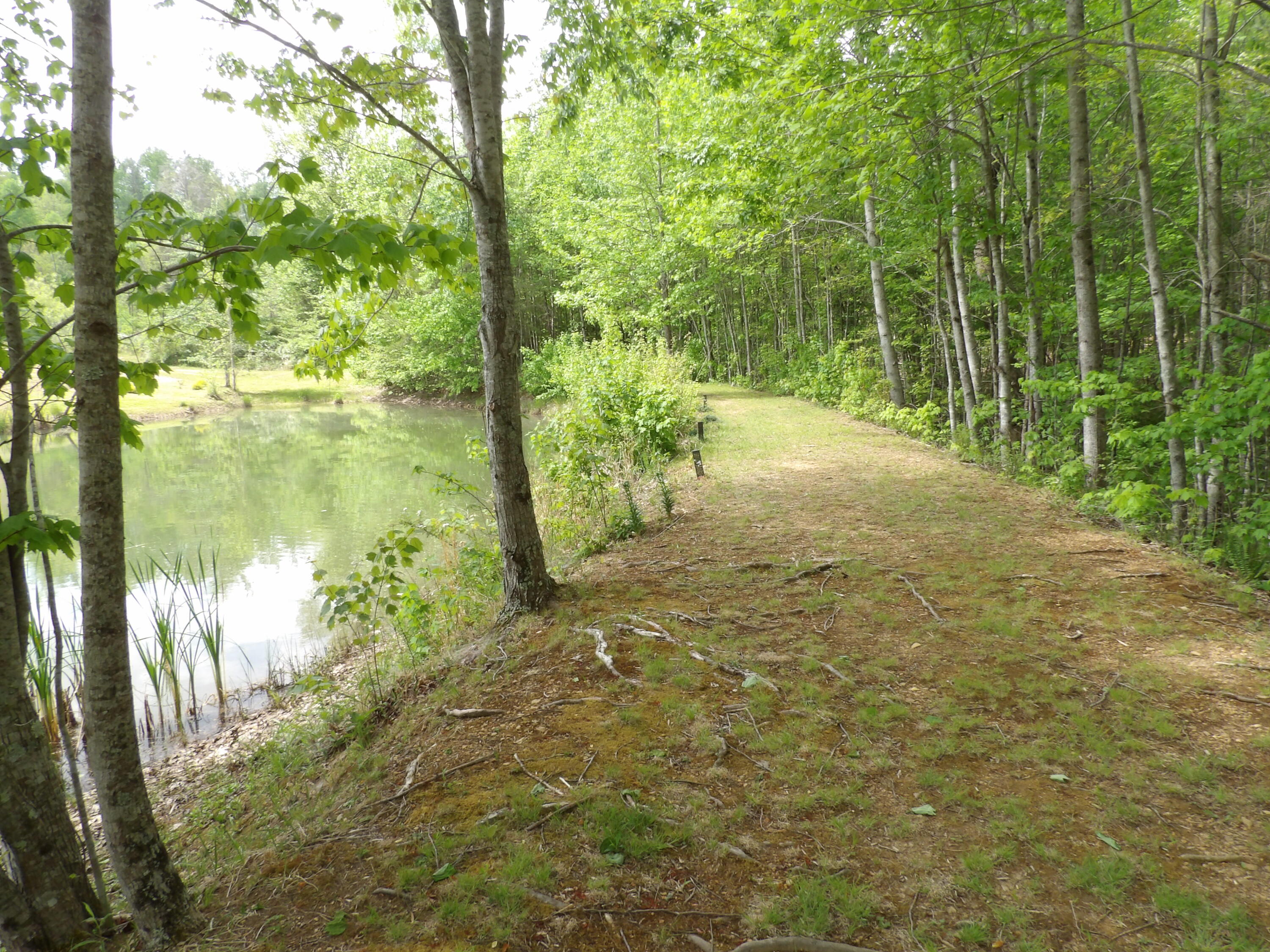 197 Echo Pt Road Dunlap, TN 37327 - Photo 53 of 67 100_2457