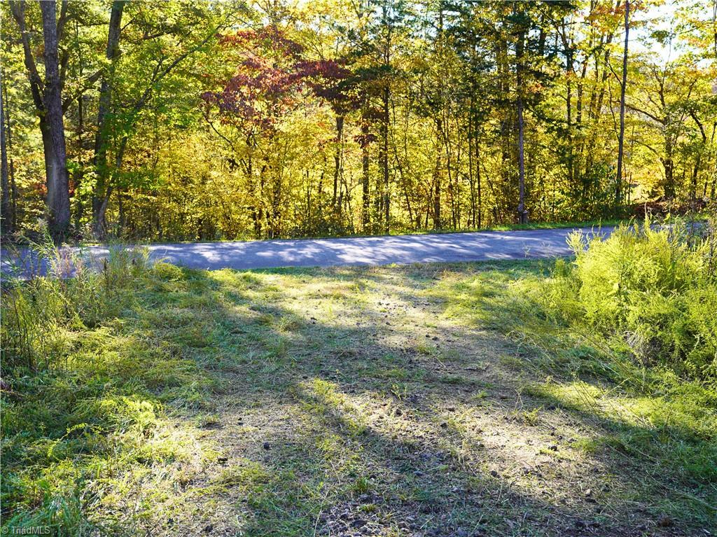 5400 Haw Patch Road Ferrum, VA 24088 - Photo 28 of 37