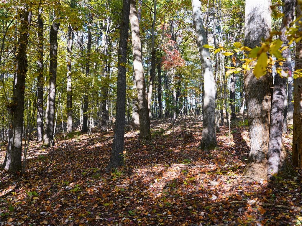 5400 Haw Patch Road Ferrum, VA 24088 - Photo 29 of 37