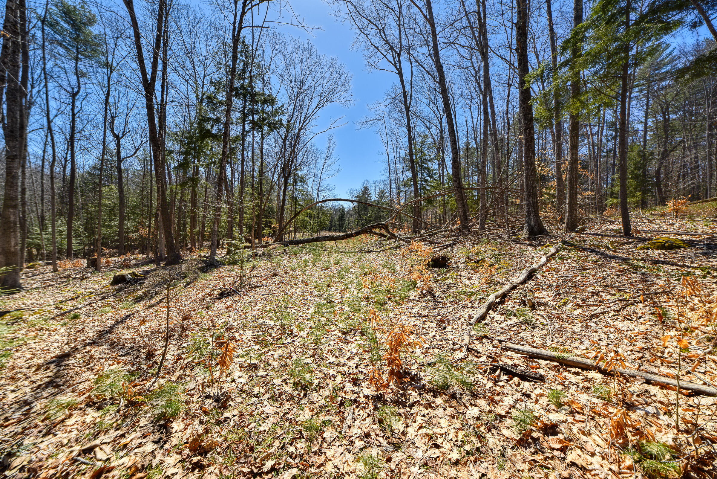 0 Route9-126 Road Litchfield, ME 04350 - Photo 7 of 105