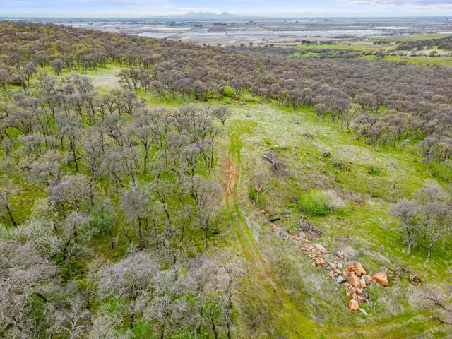 a view of a yard with an outdoor space