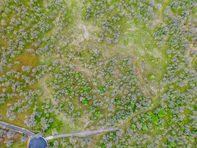 a backyard of a house with a tree