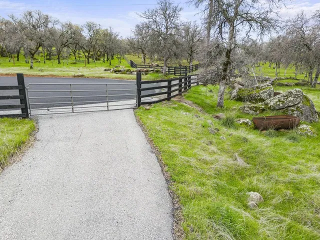a view of a garden with an outdoor space