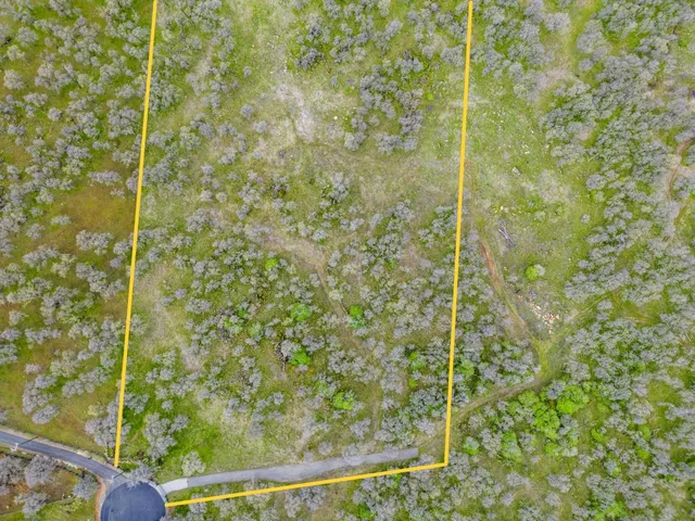 a bathroom with a shower curtain
