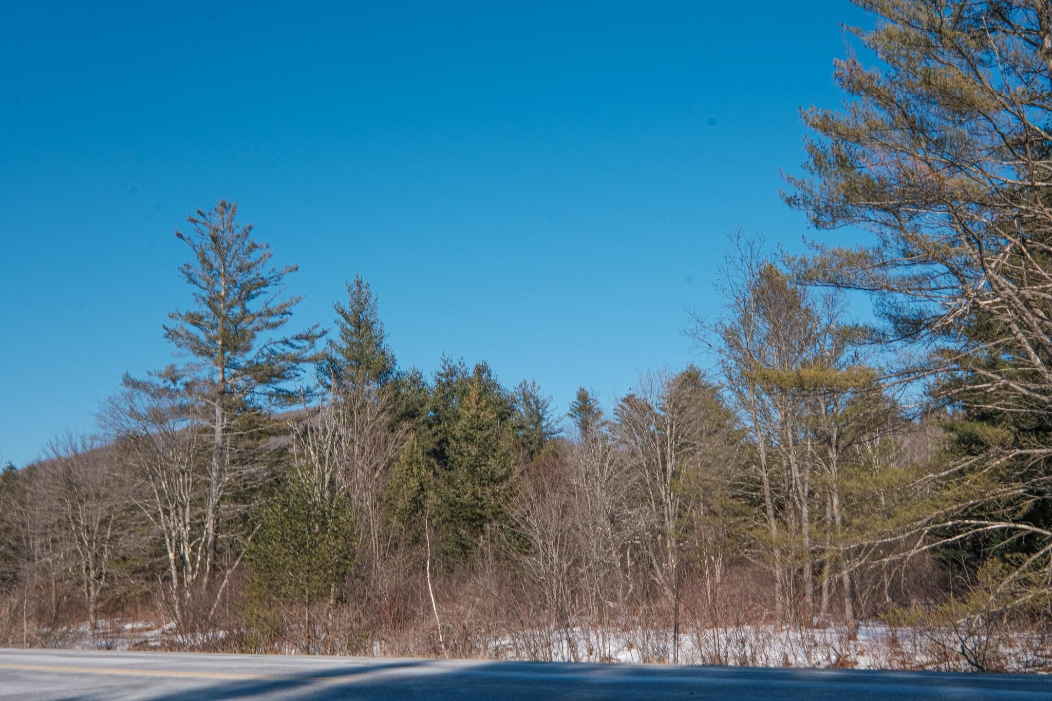 0 Route 100 Weston Vt  