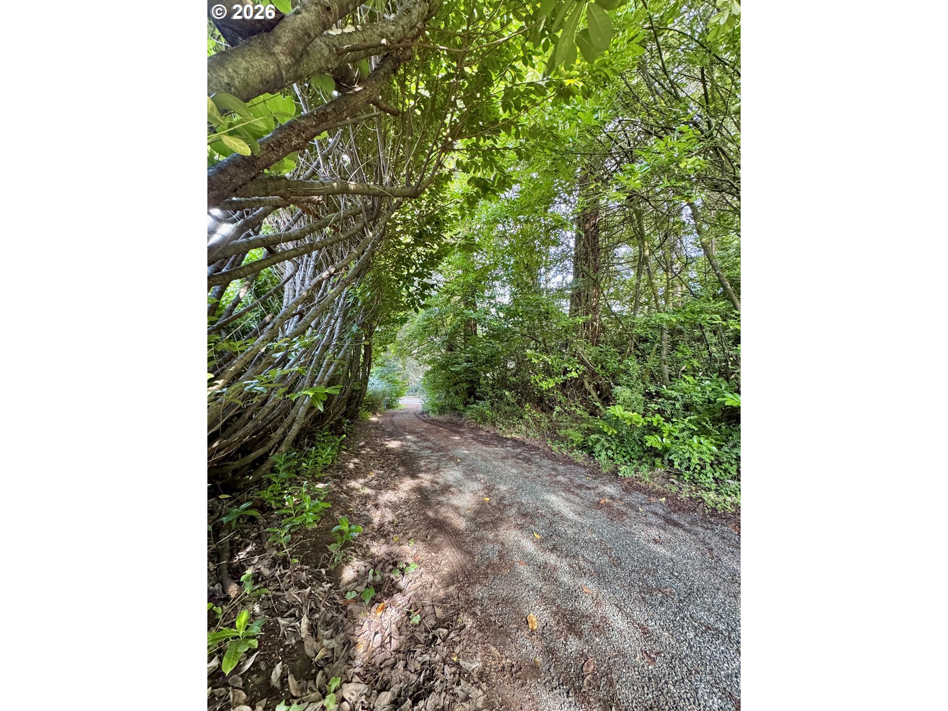 60958 Old Wagon Road Coos Bay, OR 97420 - Photo 35 of 48 Gallery Image 35