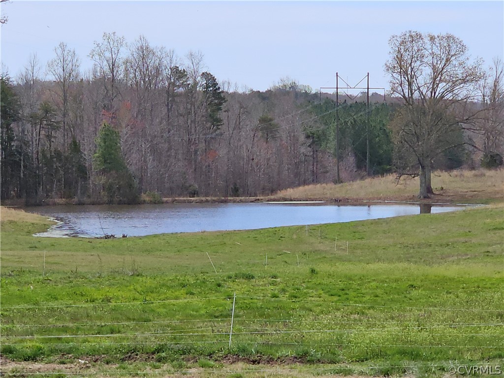 175 Raines Tavern Road Farmville, VA 23901 - Photo 13 of 46 a view of outdoor space with green field and trees