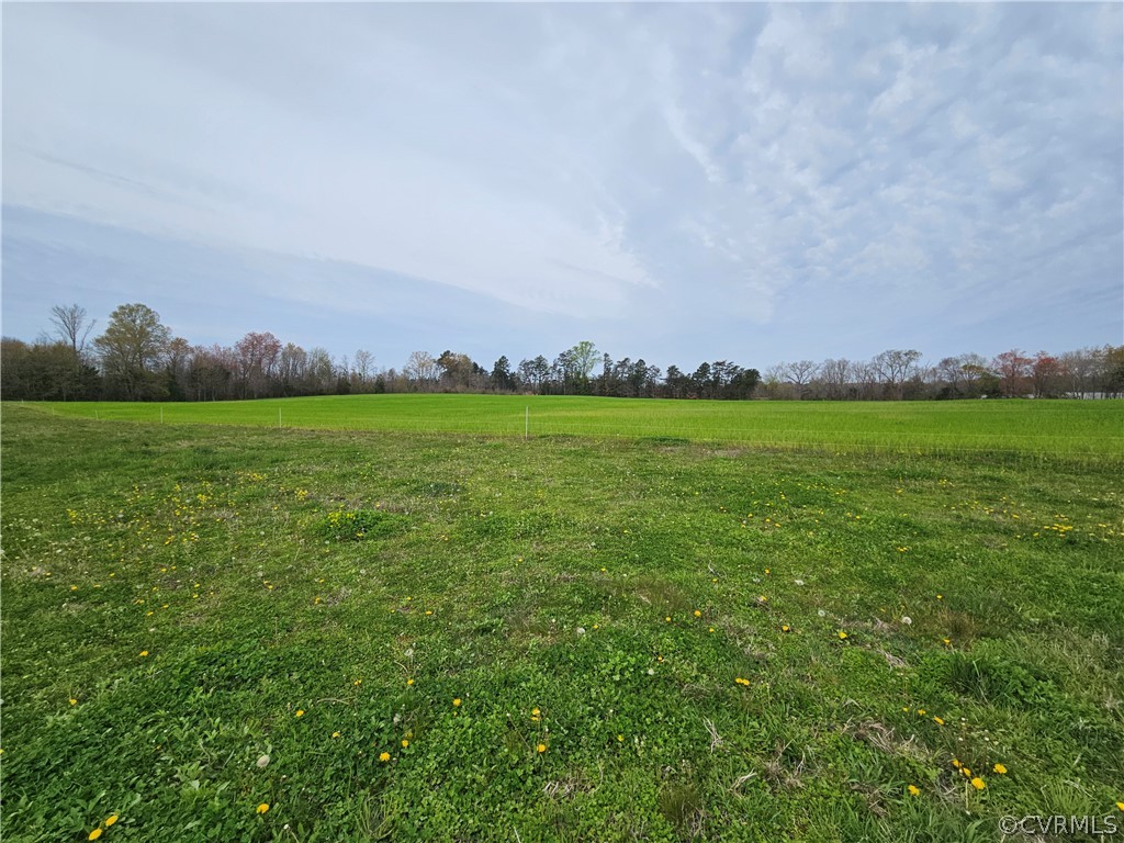175 Raines Tavern Road Farmville, VA 23901 - Photo 42 of 46 a view of a field with an ocean and trees in the background
