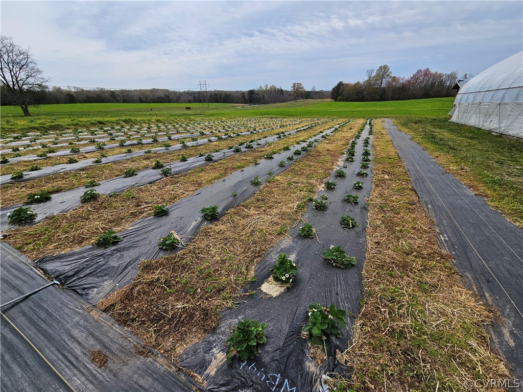 175 Raines Tavern Road Farmville, VA 23901 - Photo 43 of 46 Aerial view featuring a rural view