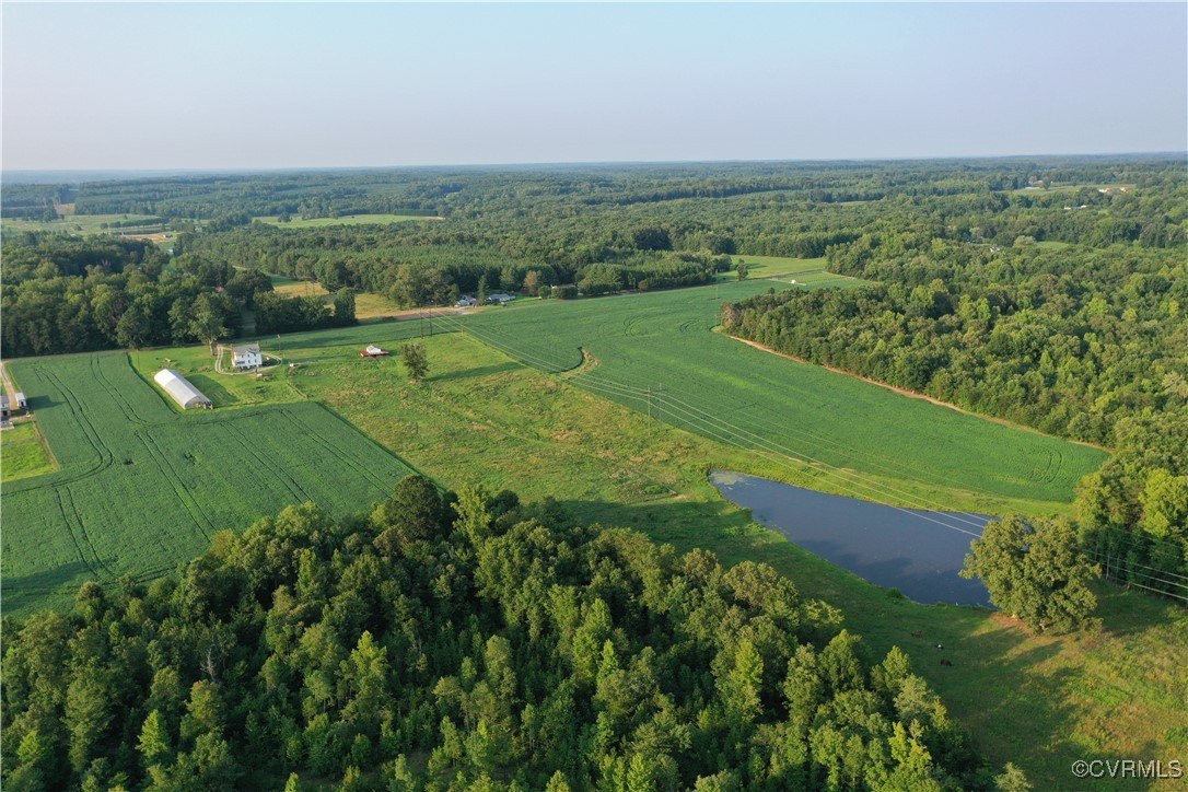 175 Raines Tavern Road Farmville, VA 23901 - Photo 5 of 46 a view of a green field with clear sky