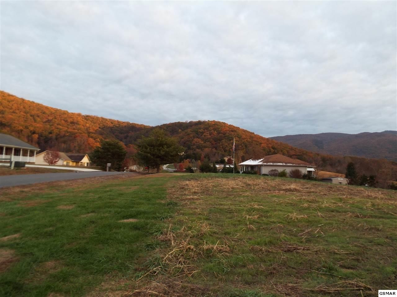 17 Dawning Road Newport, TN 37821 - Photo 7 of 10 Gallery Image 7