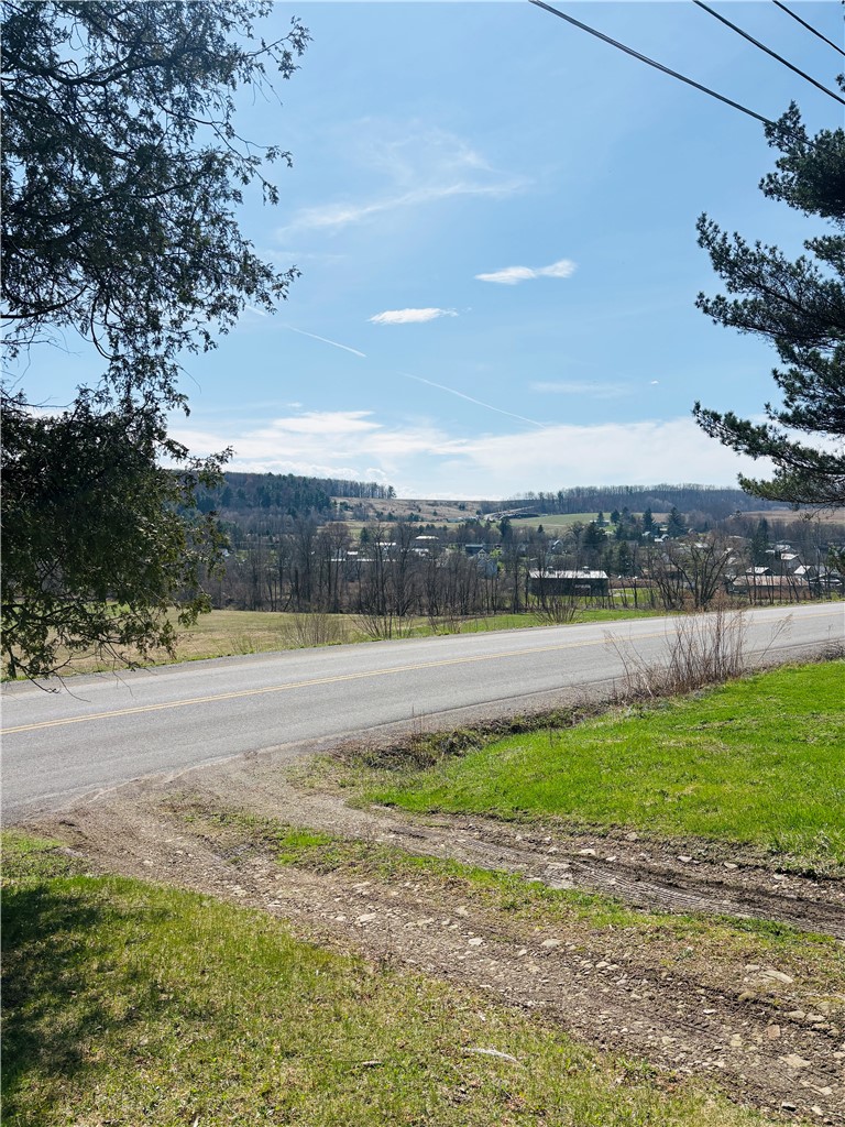 3893 County Rte 123 Jasper, NY 14855 - Photo 8 of 21 Dirt driveway