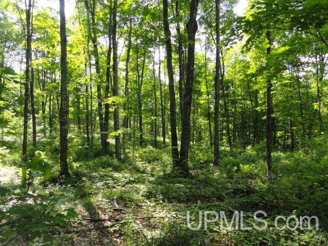 Tbd Norway Lake Road Sidnaw, MI 49961 - Photo 3 of 17