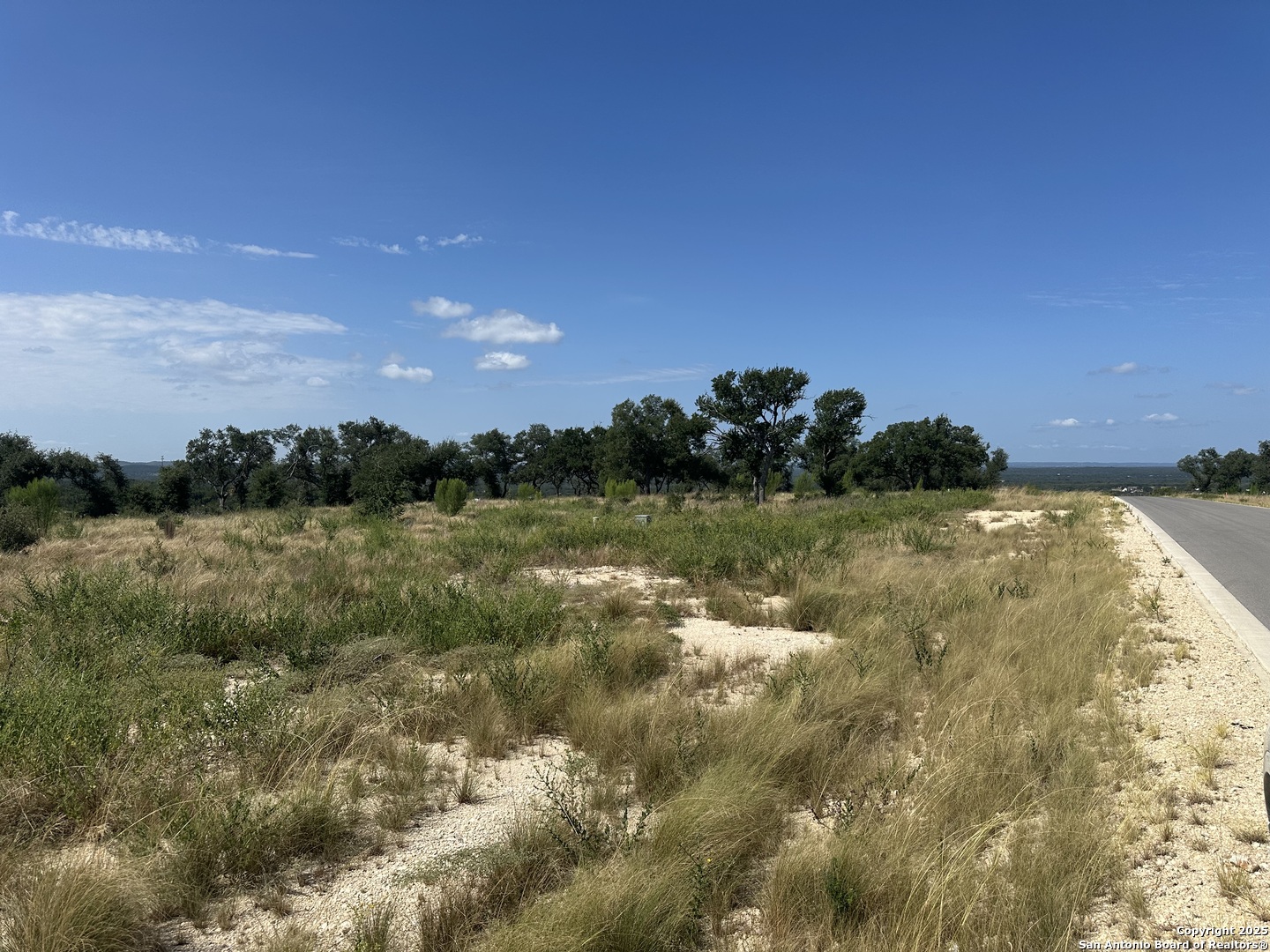 667 Butler Oaks Bulverde, TX 78163 - Photo 2 of 5 a view of a lake from a yard