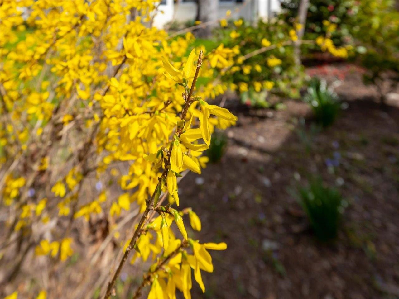 2514 White Oak Road Raleigh, NC 27609 - Photo 85 of 100 Photo 85