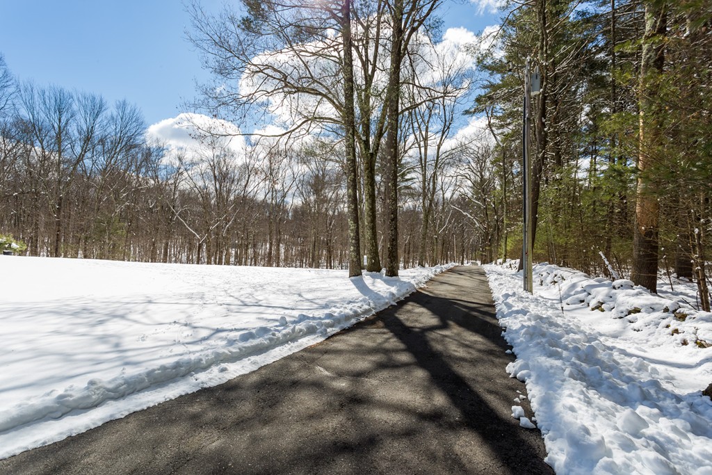 125 Bennett Road Hampden, MA 01036 - Photo 3 of 23 a view of a yard with snow on the road