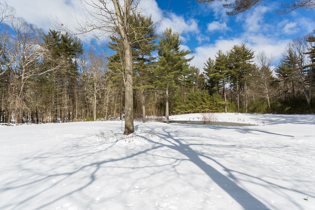 125 Bennett Road Hampden, MA 01036 - Photo 7 of 23 a view of road and trees