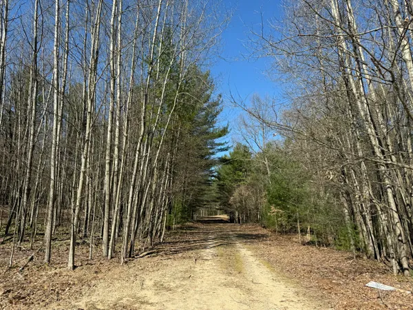 $75,000 | 3.75-acres Wayne Road, Pentwater, MI 49449