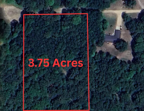 $75,000 | 3.75-acres Wayne Road, Pentwater, MI 49449