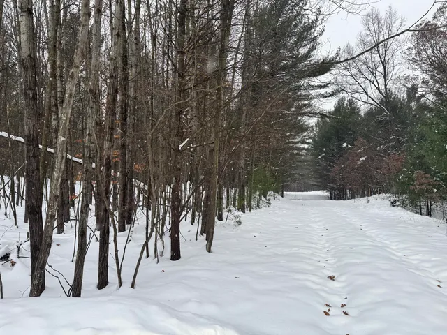 $75,000 | 3.75-acres Wayne Road, Pentwater, MI 49449