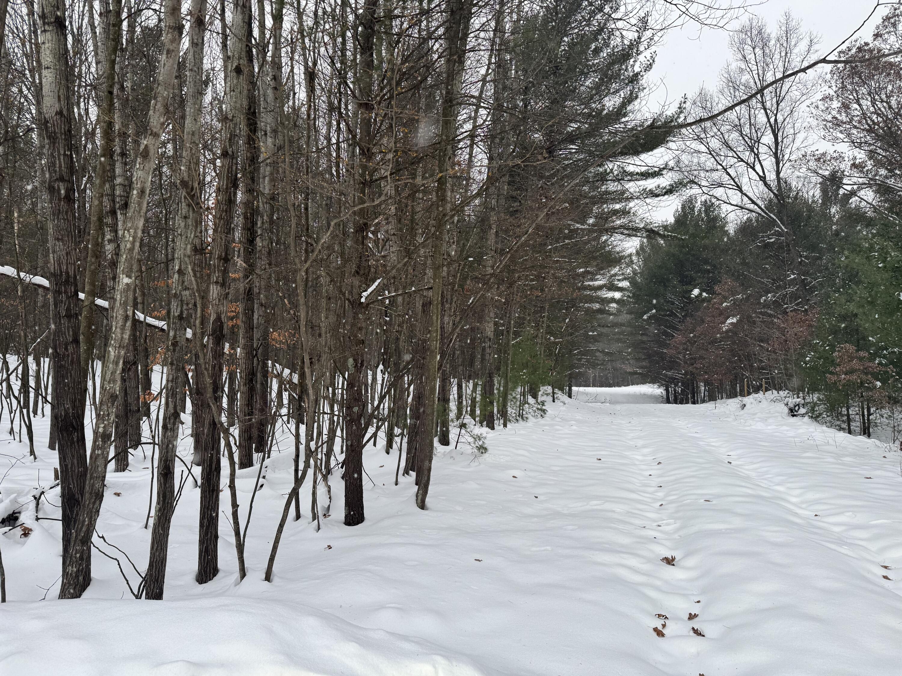 3.75-acres Wayne Road Pentwater, MI 49449 - Photo 2 of 8 IMG_2728