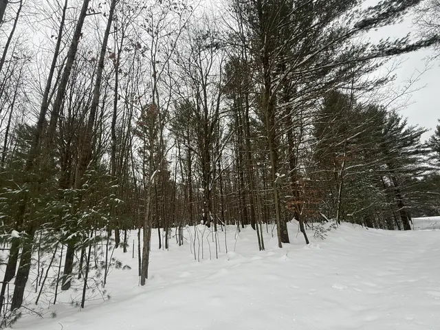 $75,000 | 3.75-acres Wayne Road, Pentwater, MI 49449