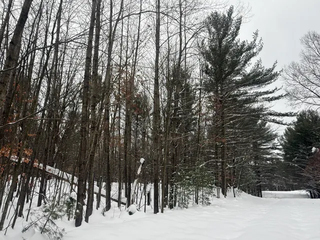 $75,000 | 3.75-acres Wayne Road, Pentwater, MI 49449