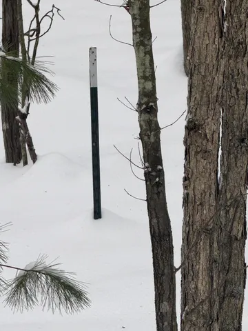 $75,000 | 3.75-acres Wayne Road, Pentwater, MI 49449