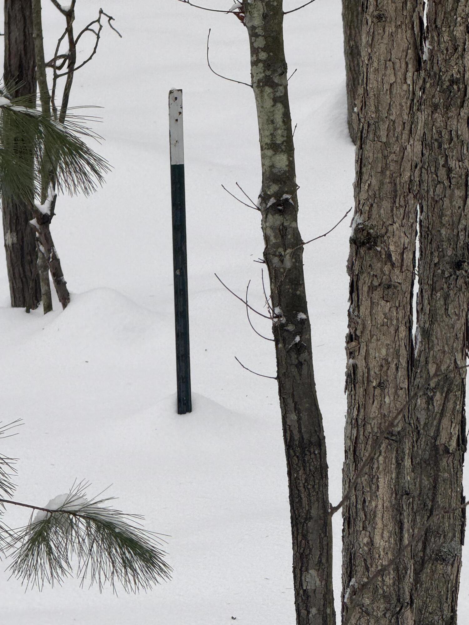 3.75-acres Wayne Road Pentwater, MI 49449 - Photo 7 of 8 IMG_6624