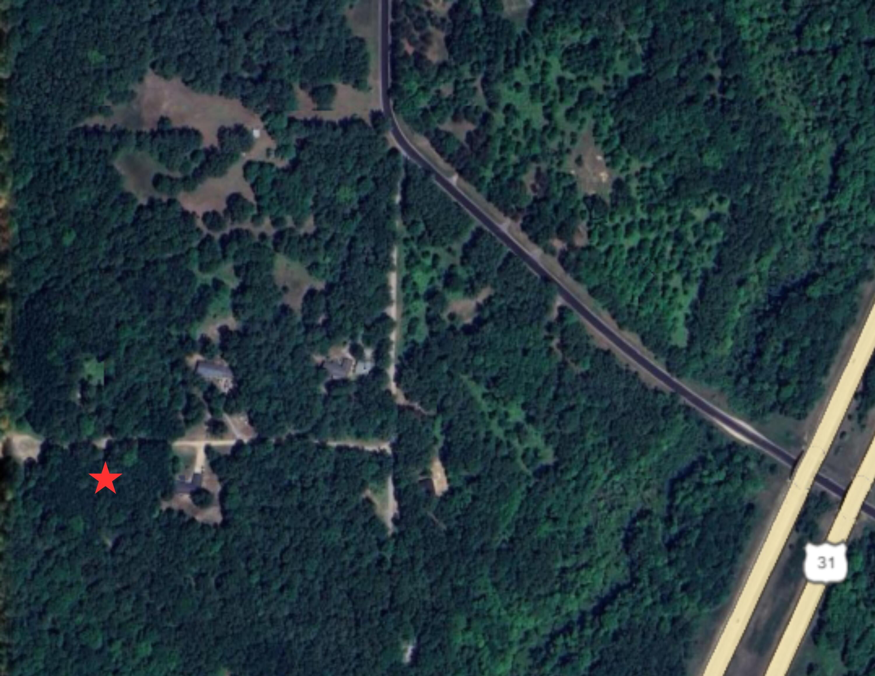 3.75-acres Wayne Road Pentwater, MI 49449 - Photo 8 of 8 2