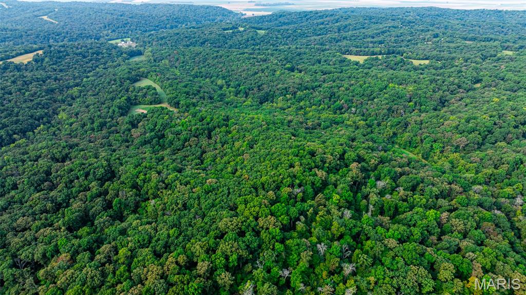 Xxx Kk Road Waterloo, IL 62298 - Photo 25 of 69