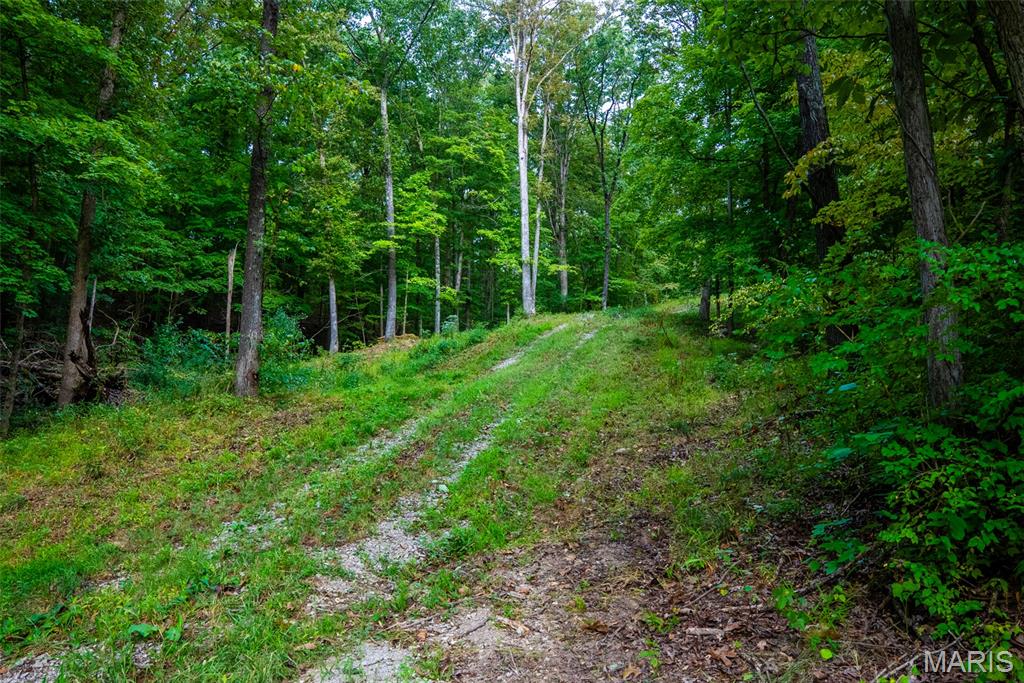 Xxx Kk Road Waterloo, IL 62298 - Photo 29 of 69