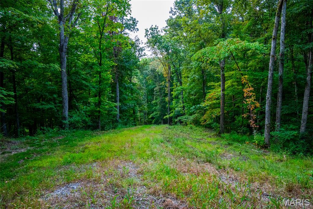 Xxx Kk Road Waterloo, IL 62298 - Photo 30 of 69