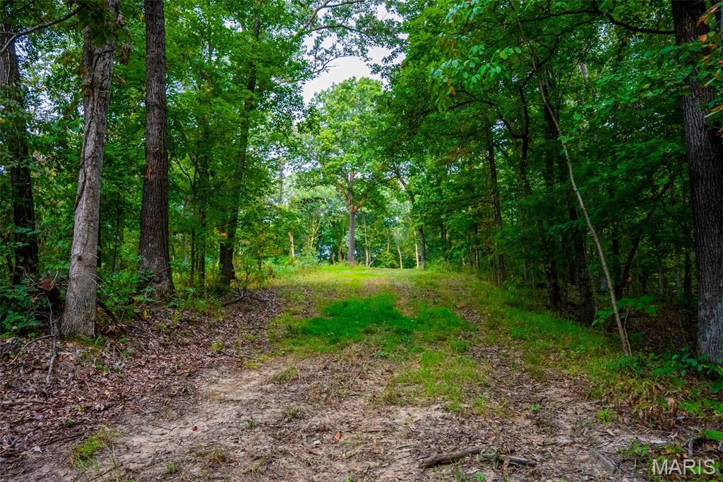 Xxx Kk Road Waterloo, IL 62298 - Photo 31 of 69