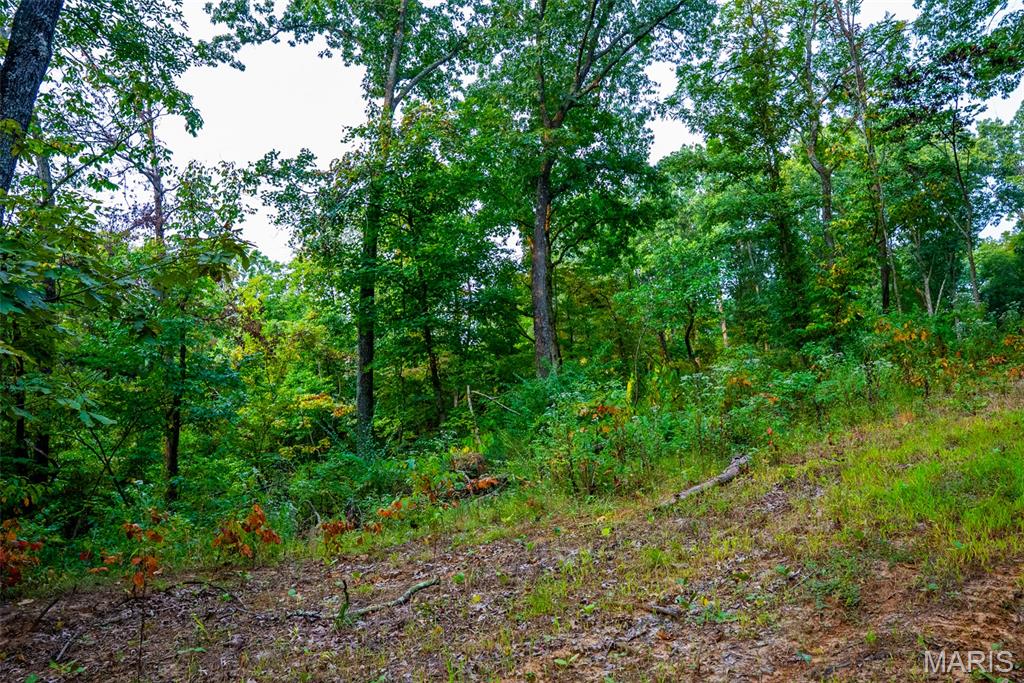 Xxx Kk Road Waterloo, IL 62298 - Photo 32 of 69