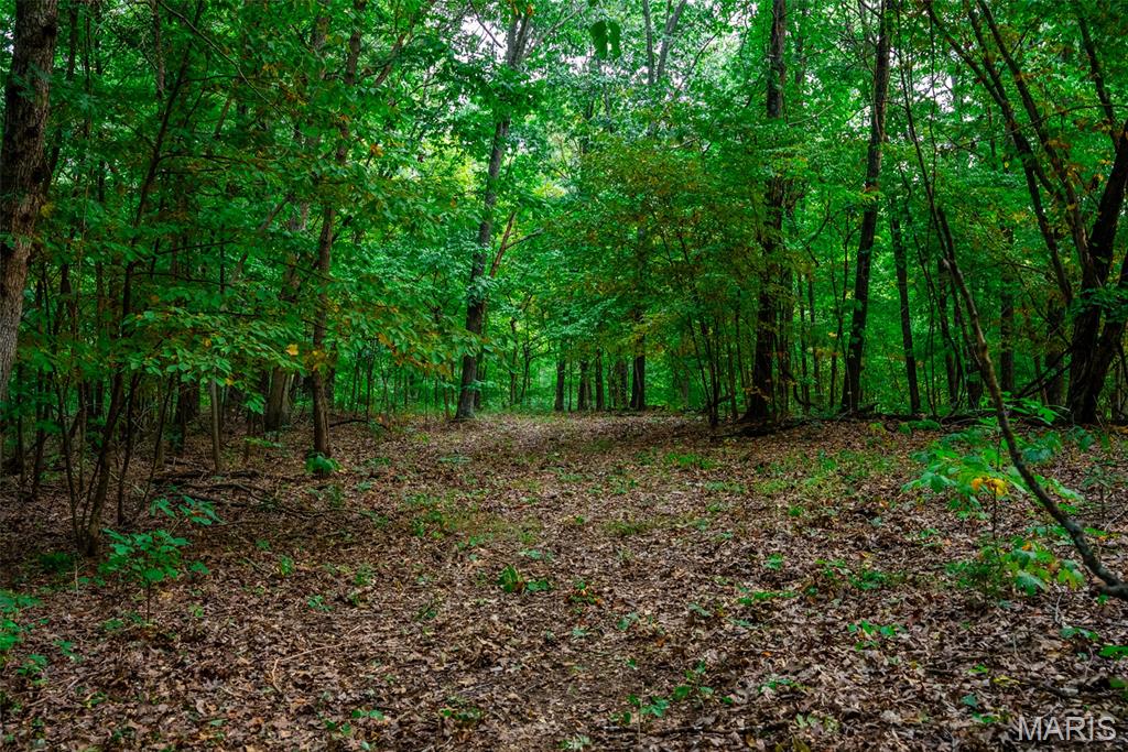 Xxx Kk Road Waterloo, IL 62298 - Photo 37 of 69