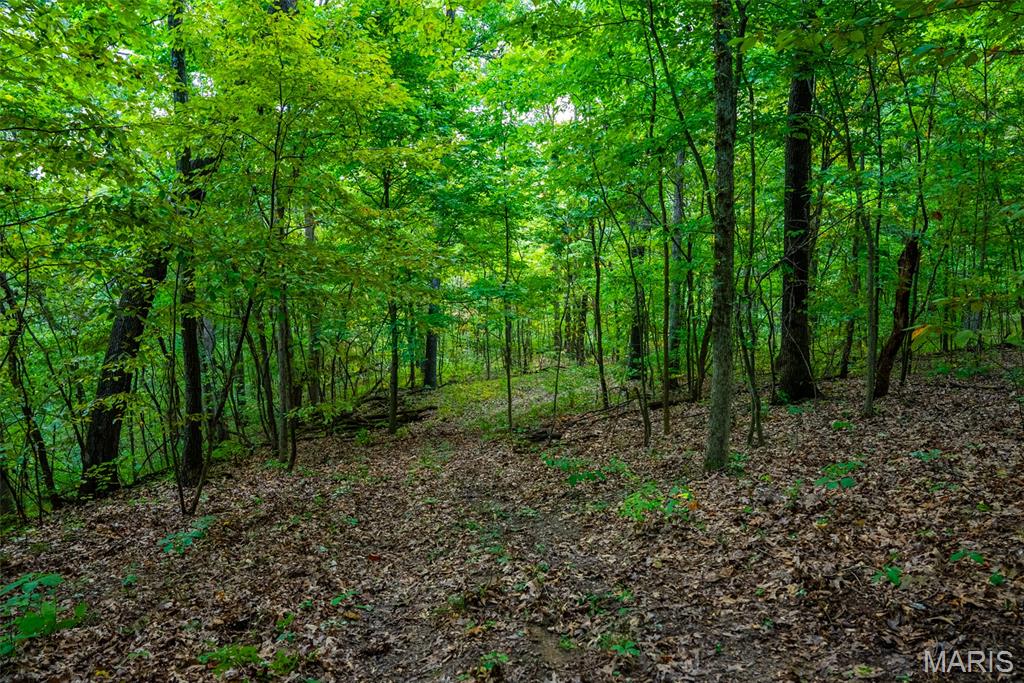 Xxx Kk Road Waterloo, IL 62298 - Photo 39 of 69